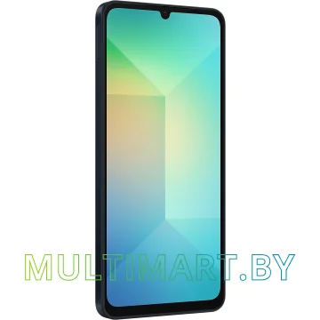 Смартфон Samsung Galaxy A06 SM-A065F 6GB/128GB (черный) картинка 2